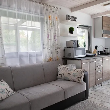 Silver House Vendeghaz בית נופש